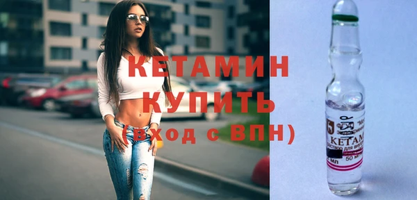 крисы Абаза