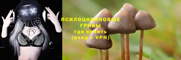 МДПВ Алзамай