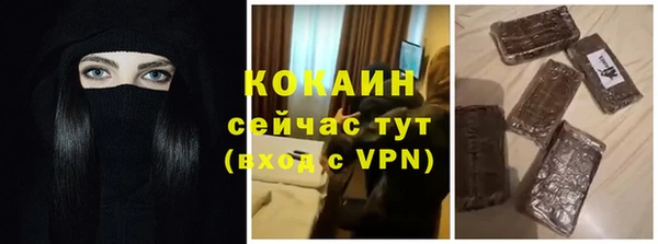 крисы Абаза