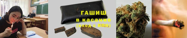 крисы Абаза