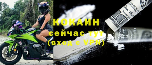 МДПВ Алзамай