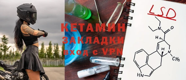 крисы Абаза