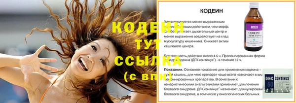 крисы Абаза