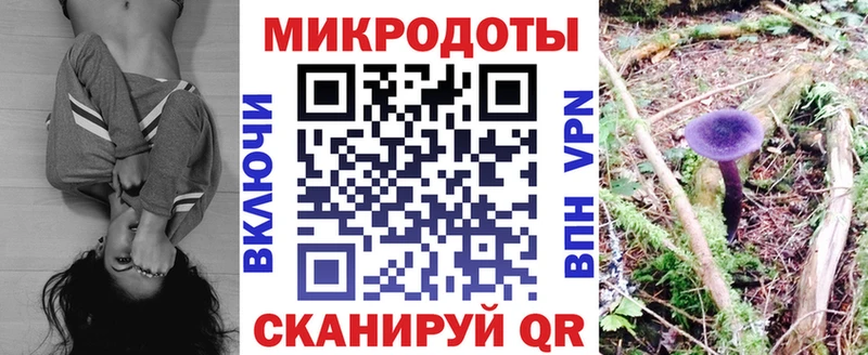 даркнет сайт  Знаменск  Псилоцибиновые грибы мицелий 
